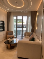luxurious 3 bedrooms apartment for sale at the horizon district 7 with full furniture