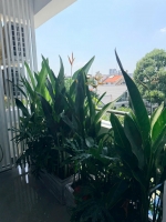 ban can ho 3pn noi that moi view biet thu tai my khanh phu my hung