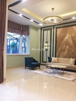 luxury and brand new villa for rent in phu my hung near canadian international school