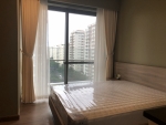 big size apartment for rent in riverpark premier with luxurious interior and beautiful decoration