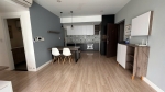 modern 2 bedroom residence for rent at happy valley phu my hung