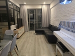 comfortable 2 bedroom residence for rent at hung phuc phu my hung