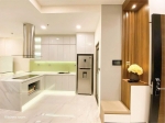elegant 2 bedroom river view apartment at midtown with full furnishings for rent