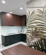 saigon south residence apartment for rent 2 bedrooms fully furnished open view