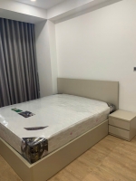 cho thue midtown 2 phong ngu full noi that view villa co o xe ham