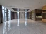 empire city tilia 4 bedroom penthouse with private garden and basic interiors for rent