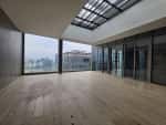 empire city tilia 4 bedroom penthouse with private garden and basic interiors for rent