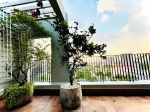 cho thue penthouse star hill 3 phong ngu duplex full noi that sang trong