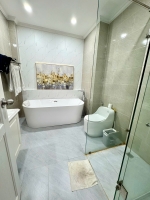 villa for rent in my thai phu my hung with 4 bedrooms and high end furniture